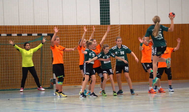 Nuliga Handball Brandenburg Nuliga Handball Brandenburg