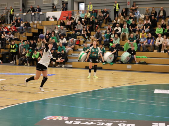 Eine Handballspielerin in einem weiß-schwarzen Trikot ist im Begriff, während eines Spiels einen Ball zu werfen. Eine andere Spielerin in Grün steht in der Nähe des Tores. Die Zuschauer auf der Tribüne im Hintergrund verfolgen das Geschehen.